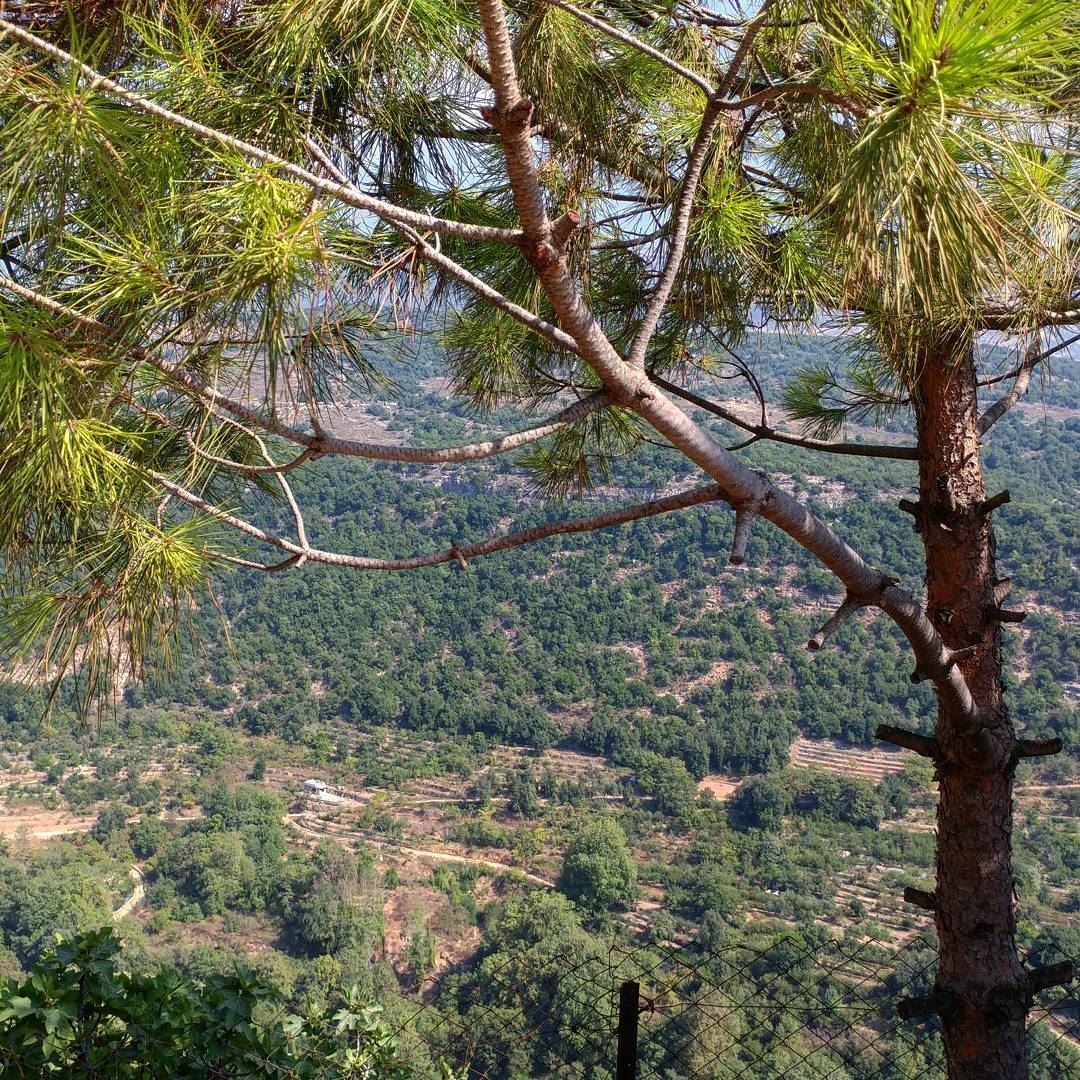 Everywhere there are those lush green mountains.  chouf  livelovechouf ... (Batloun, Mont-Liban, Lebanon)