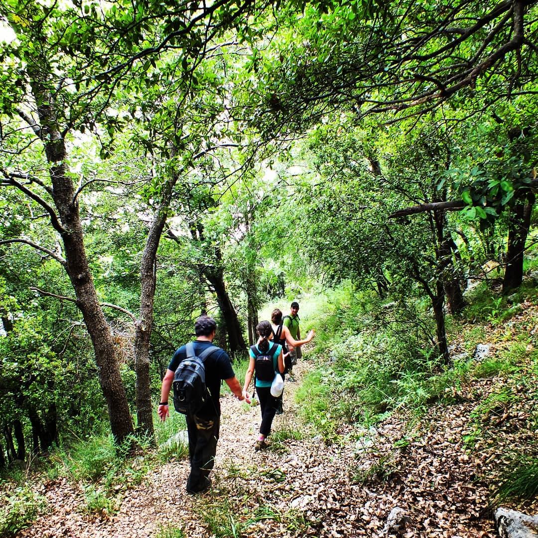 Explore Hiking in Jabal Moussa this Sunday. Booking +9613955642.🌲🌲🌲🌲� (Jabal Moussa Biosphere Reserve)