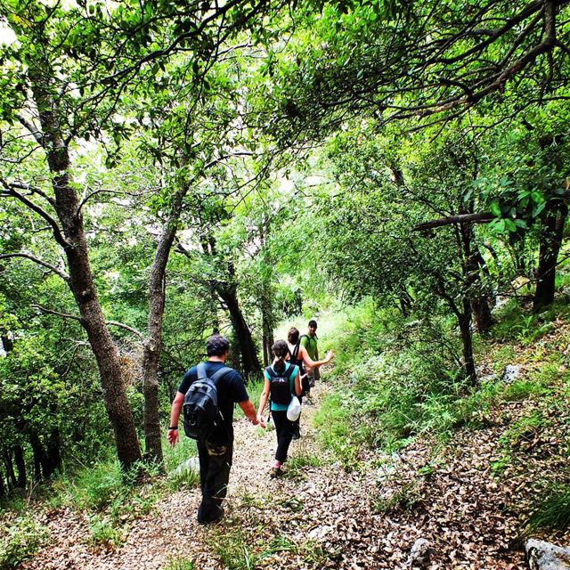 Explore Hiking in Jabal Moussa this Sunday. Booking +9613955642.🌲🌲🌲🌲� (Jabal Moussa Biosphere Reserve)