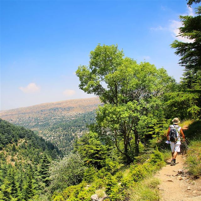 Explore I Hiking, Ehden Forest Reserve & Lebanon this Sunday. Booking.... (Horsh Ehden)