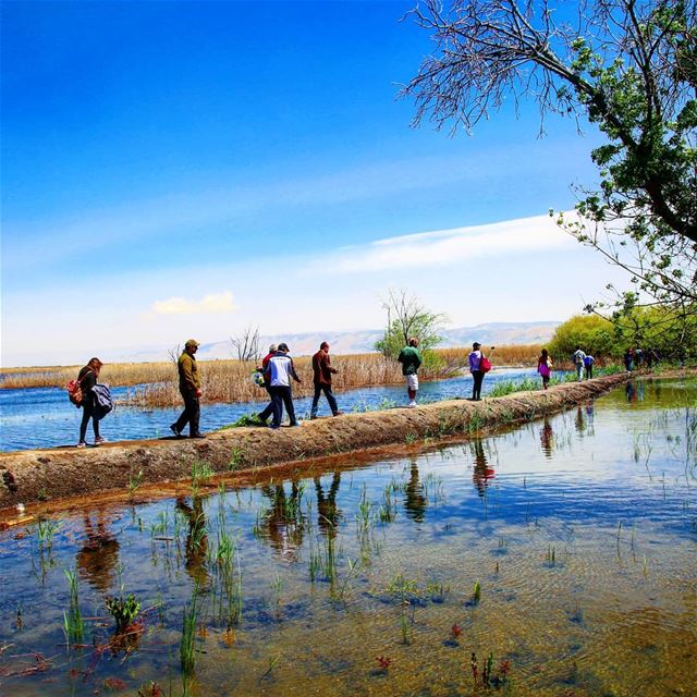 EXPLORE I LEBANON, AMMIQ WETLAND & HIKING THIS SUNDAY. BOOKING. 03955642.... (`Ammiq, Béqaa, Lebanon)