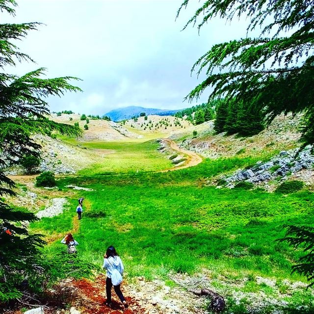 EXPLORE I LEBANON, BAROUK CEDARS & HIKING THIS SUNDAY. BOOKING.03955642.� (Bâroûk, Mont-Liban, Lebanon)