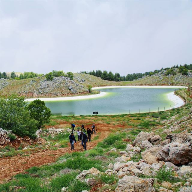 EXPLORE I LEBANON, BAROUK CEDARS & HIKING THIS SUNDAY. BOOKING.03955642.� (Bâroûk, Mont-Liban, Lebanon)