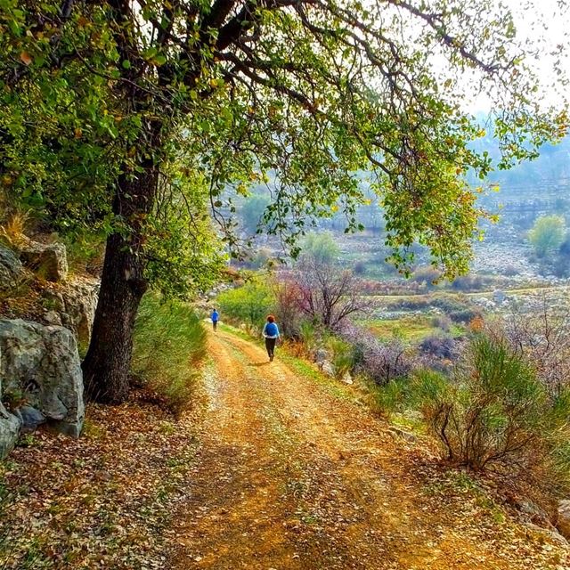 EXPLORE I LEBANON, BASKINTA & HIKING THIS SUNDAY.BOOKING. 03955642🌲🌲🌲� (Baskinta, Lebanon)