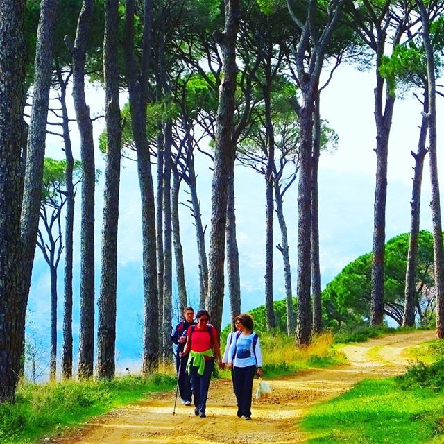 .🌲🌲🌲🌲🌲🌲🌲🌲🌲🌲🌲🌲Explore I Lebanon, Deir el Harf & Hiking this... (Deïr El Harf, Mont-Liban, Lebanon)