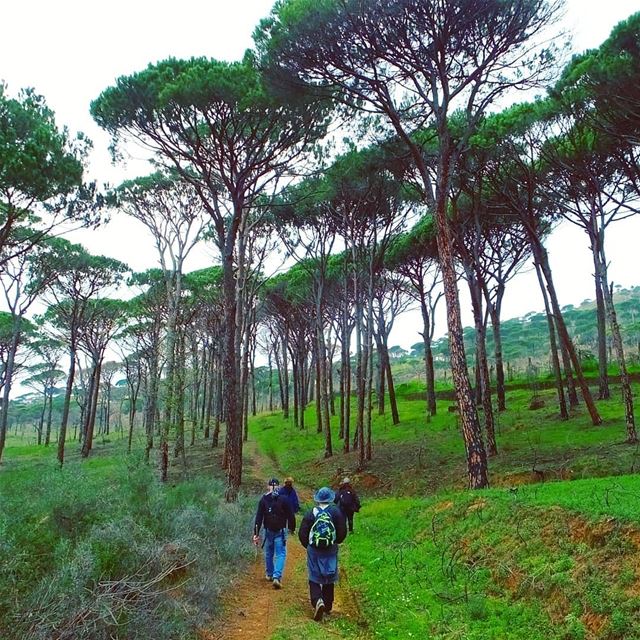 EXPLORE I LEBANON, DEIR EL HARF & HIKING THIS SUNDAY. BOOKING.03955642.🌲 (Deïr El Harf, Mont-Liban, Lebanon)