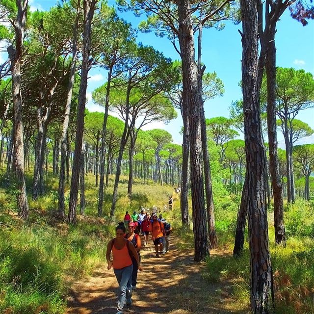 EXPLORE I LEBANON, DEIR EL HARF & HIKING THIS SUNDAY. BOOKING.03955642.🌲 (Deïr El Harf, Mont-Liban, Lebanon)