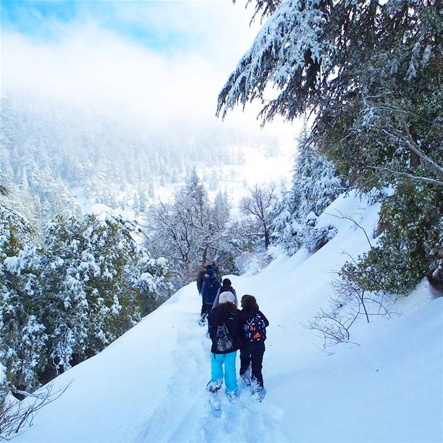 EXPLORE  I  Lebanon, Snowshoeing &  Ehden Reserve this Sunday🌲🌲🌲🌲🌲🌲� (Horsh Ehden)