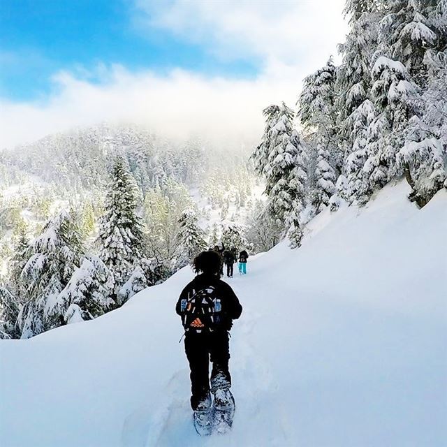 EXPLORE  I  Lebanon, Snowshoeing &  Ehden Reserve this Sunday🌲🌲🌲🌲🌲🌲� (Ehden, Lebanon)