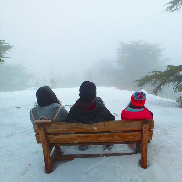 EXPLORE  I  Lebanon, Snowshoeing & Tannourine Reserve 🌲🌲🌲🌲🌲🌲🌲🌲🌲🌲� (Arz Tannoûrîne)