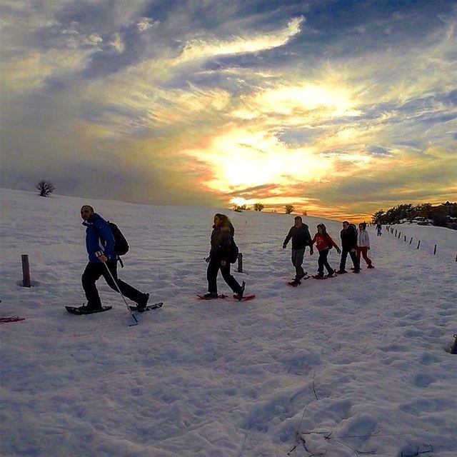 EXPLORE  I  Lebanon, Snowshoeing & Tannourine Reserve this Sunday🌲🌲🌲🌲�