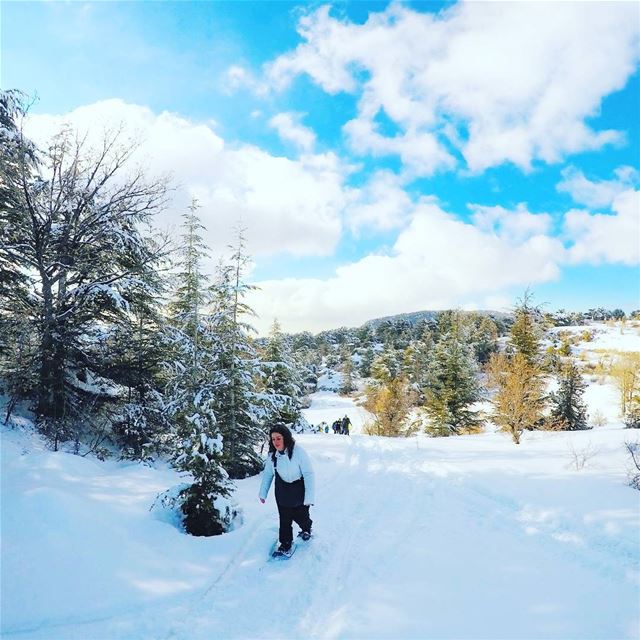 EXPLORE  I  Lebanon, Snowshoeing &  Tannourine Reserve this Sunday🌲🌲🌲🌲 (Arz Tannoûrîne)