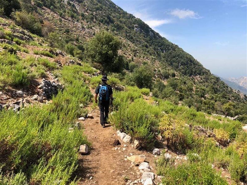 EXPLORE! jabalmoussa  unescomab  unesco  biospherereserve  ecotourism ... (Jabal Moussa Biosphere Reserve)