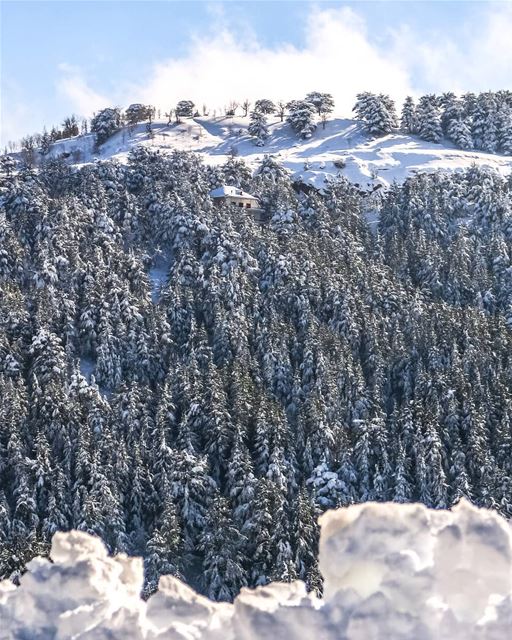  explorelebanon lebanon ... (Hadath El-Jubbah, Liban-Nord, Lebanon)