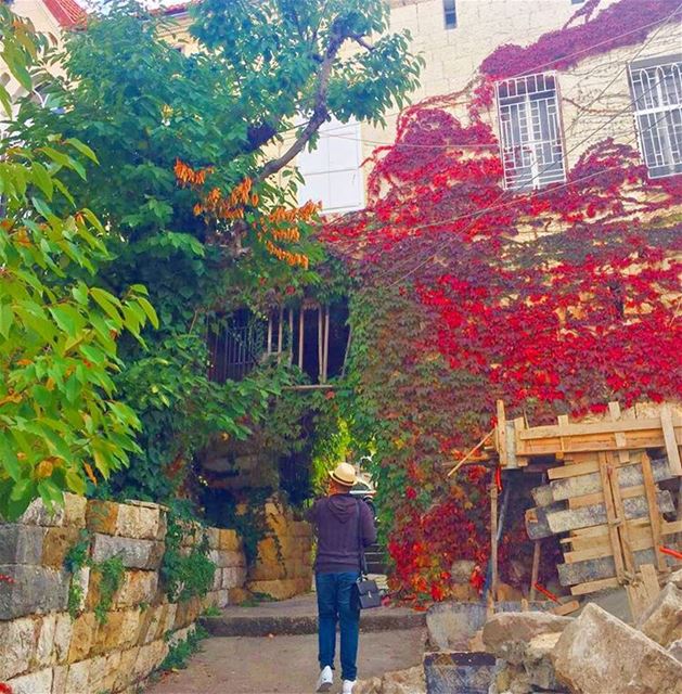 🏡🍁💕Exploring douma, a lovely old Village (Douma Souks)