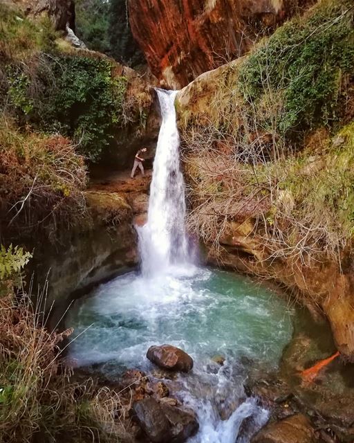 Exploring the snarling side of Nature 🏞️... (Mount Lebanon Governorate)