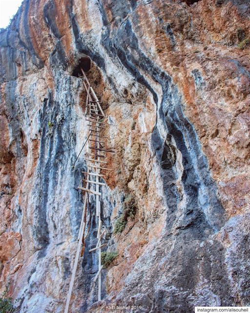 Extracting natural honey  honey  extract  qannoubine  rock  climb  hiking ... (Ouâdi Qannoûbîne, Liban-Nord, Lebanon)