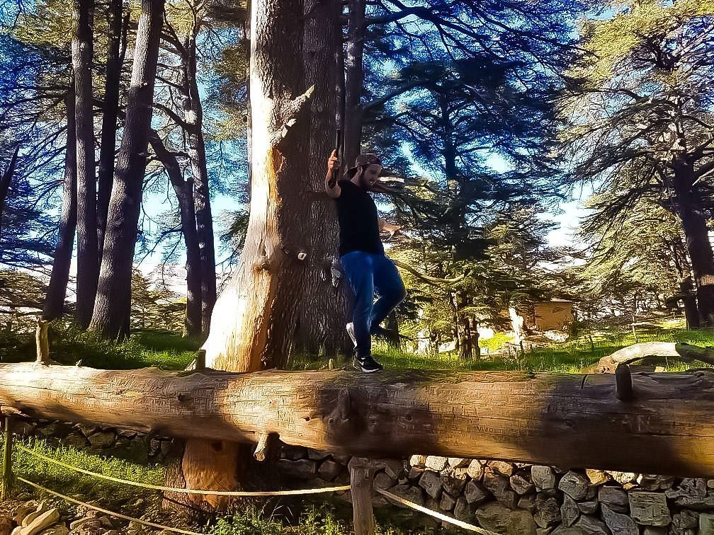 Extremes are easy. Strive for balance. 📷 @moris1920 balance  balanced ... (The Cedars of Lebanon)