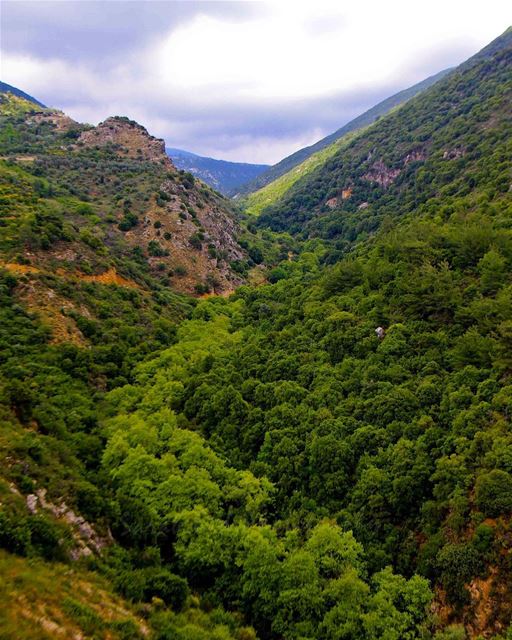 Eye candy 🗺🌳..... saraheidphotography  lebanon   lebanon_hdr ... (Jarjou`, Al Janub, Lebanon)