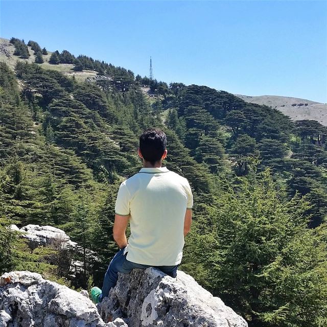 Eyes on the forest🌲🌲🌲🌲🌲,not on the tree🌲   everyonedeservesohat... (Arz el Chouf)
