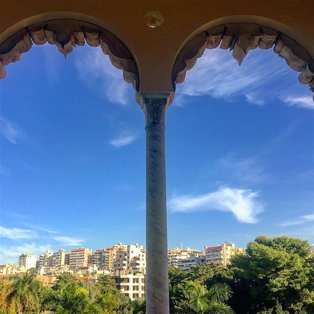 Eyes wide open::::::::::::::::::::::::::::::::::::::::::::::::::::::::... (Bramiyé, Liban-Sud, Lebanon)