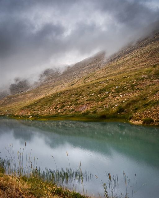 "Faded" - cold weather and mountains fading away by the fog. After a long... (Falougha, Mont-Liban, Lebanon)