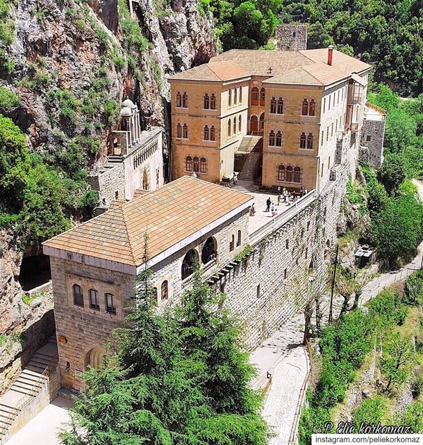 Faith is the bird that feels the light when the dawn is still dark.... (Mar Antonios-Kozhaya)