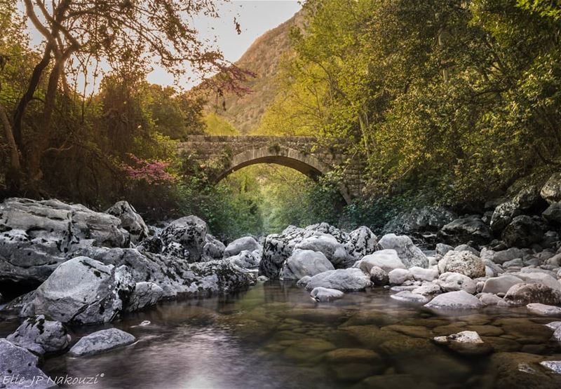 Faith is the bridge to all dreams nikon  photography  sigmaart  picture ... (Naher Ibrahim - Chuwwen)