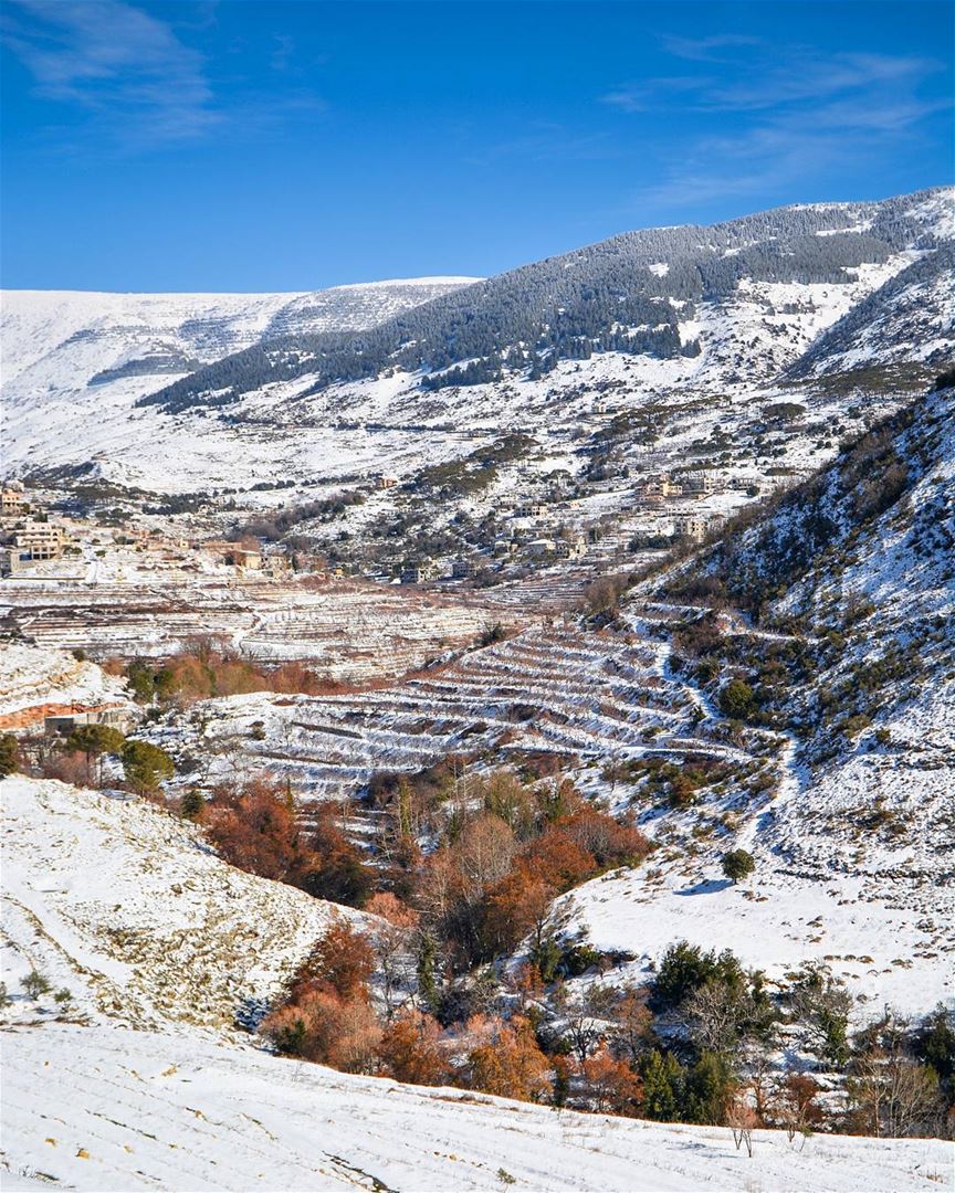 .Fall and winter | Beautiful snowy village and mountain of Barouk after a... (Bâroûk, Mont-Liban, Lebanon)