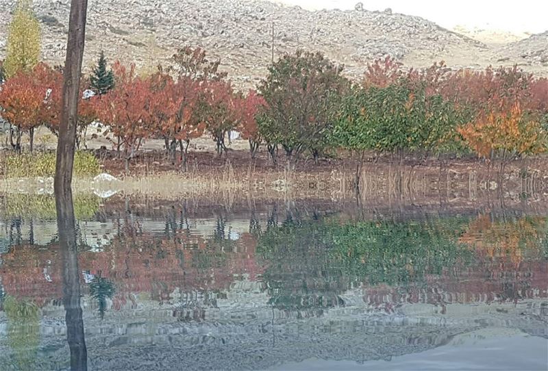  fall🍁  autumn  inmycountry  loveeachseason  inlebanon  fallseason ...