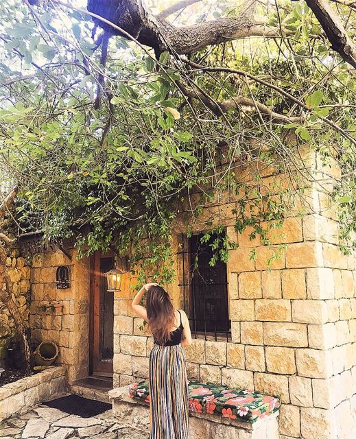 • Fall Colors 🍁🍂🍃• bouyouti  guesthouse  chouf  nature  outdoor ... (Bouyouti-Maaser Beiteddine)