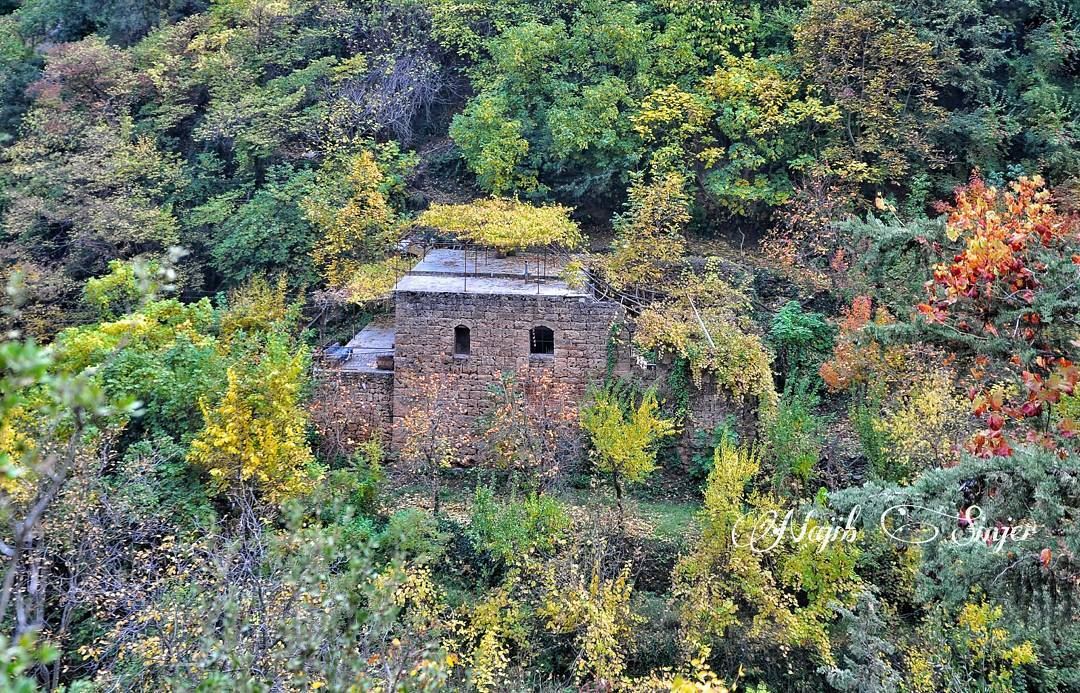  fall  fall🍁   winter   instagood  dead   nature   lebanon  najib_sinjer ... (Wadi Qannubin, Liban-Nord, Lebanon)