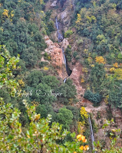  fall  fall🍁   winter   instagood  dead   nature   lebanon  najib_sinjer ...