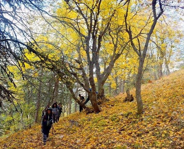 Fall in love with moments ✨🍁🍂🧡 hikingadventures  autumnlovers ... (Horsh Ehden)