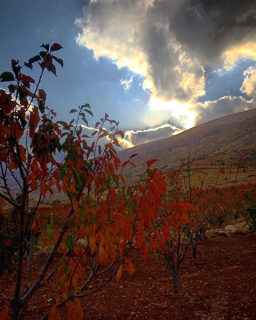 Fall in Love with Moments 🍂🌥 natureoftheplanet1  lebanoninapicture ... (Beqaa Governorate)