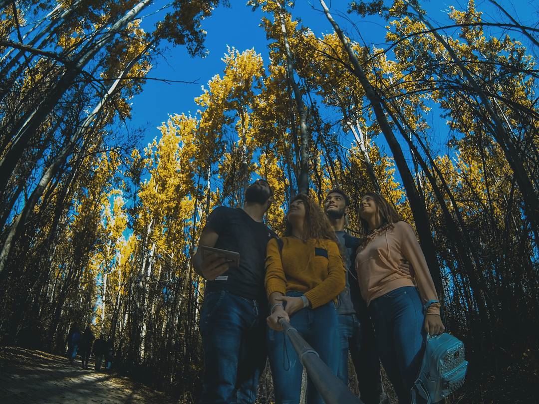 💛.. fall  photographylovers  photography  gopro  goprophotography ...