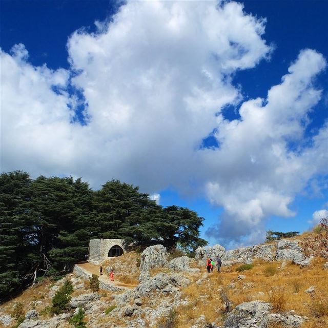  fallinlove  fall  autumn  nature  lfl  nationalgeographic  explorelebanon... (Arz Jaj)