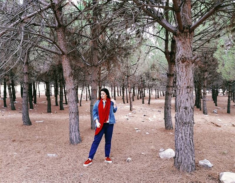 Fallradise 🍁🍃 (Qaraaoun, Béqaa, Lebanon)