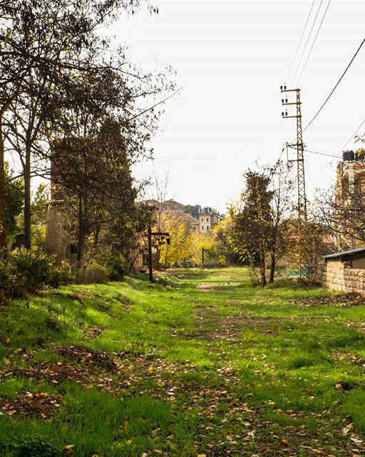 //Falls in Lebanon🍂//  sawfar livelovesawfar livelovelebanon... (Sawfar, Mont-Liban, Lebanon)