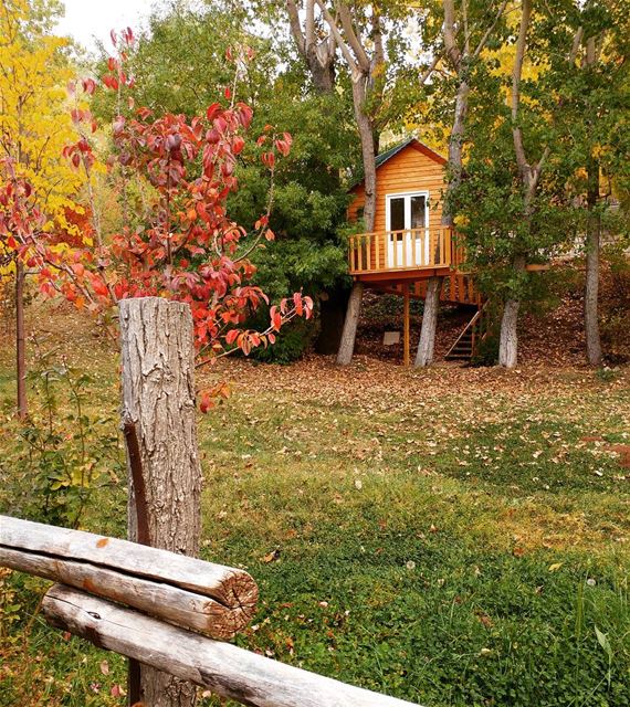Fallscaping 🍁