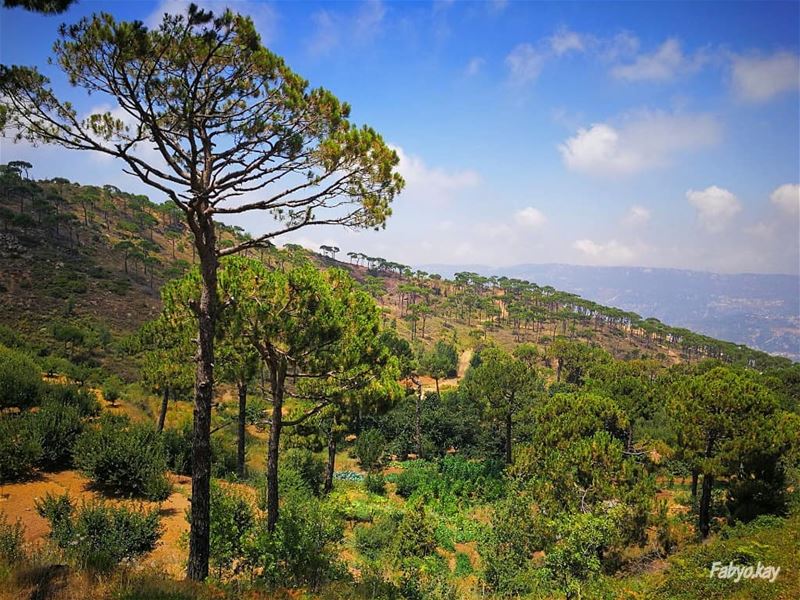 FALOUGA 🌲⛰️🏕️🌳LEBANON ___________________________________ lebanon... (Falougha, Mont-Liban, Lebanon)