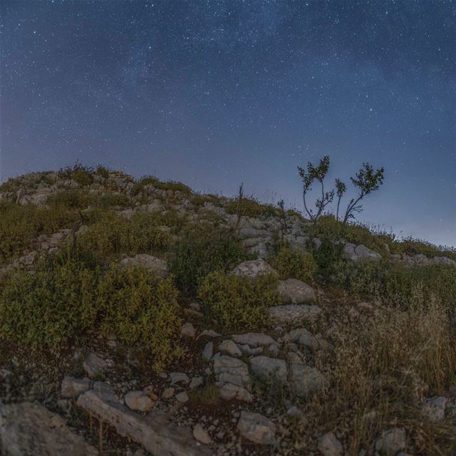 Falougha’s Panoramic view!... (Falougha, Mont-Liban, Lebanon)