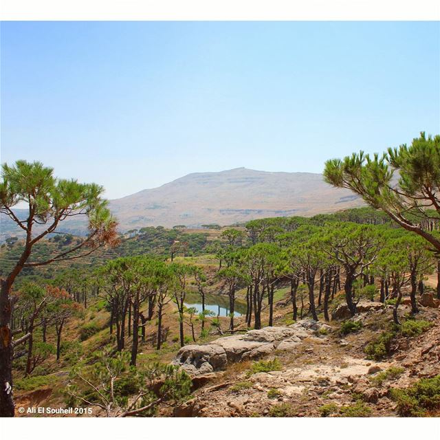  falougha  sky  forest  lake  mountains  lebanese  lebanon  colorful ... (Falougha, Mont-Liban, Lebanon)