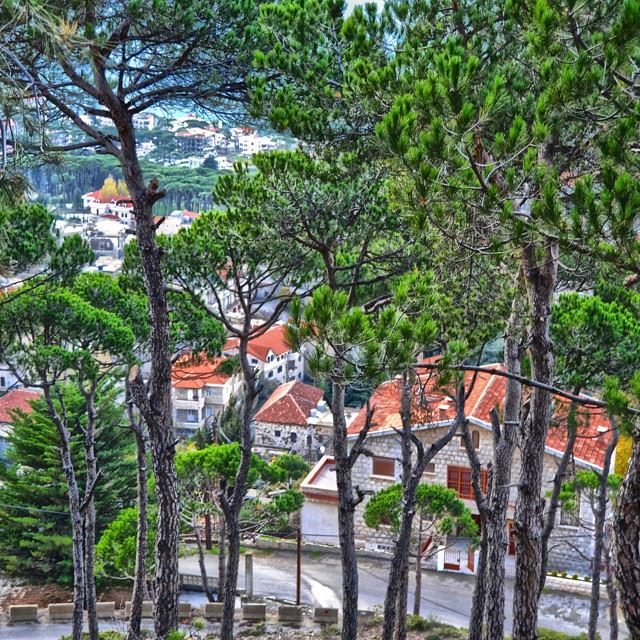 Falougha village through the pine forestHDRCamera : nikon d3200Location...