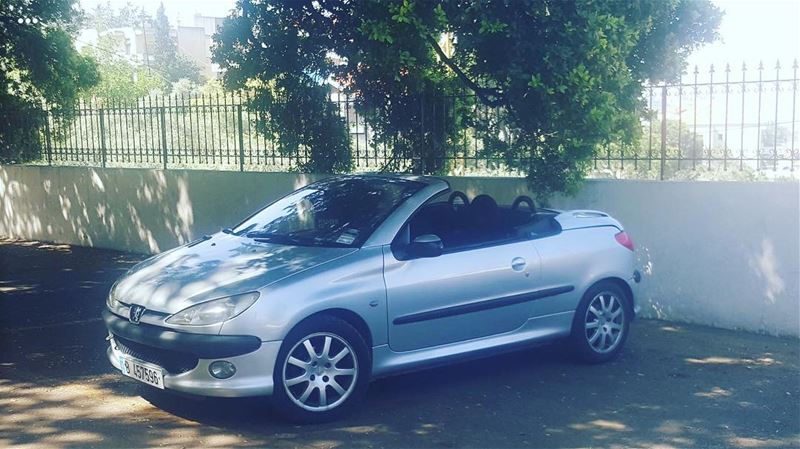  fan  206cc  peugeot  niceride  sunnyday ...
