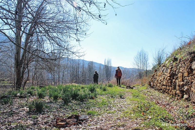  faqra  northlebanon  hiking  nature  mountains  colorful  livelovelebanon... (Fakra Kfarzebian Liban)