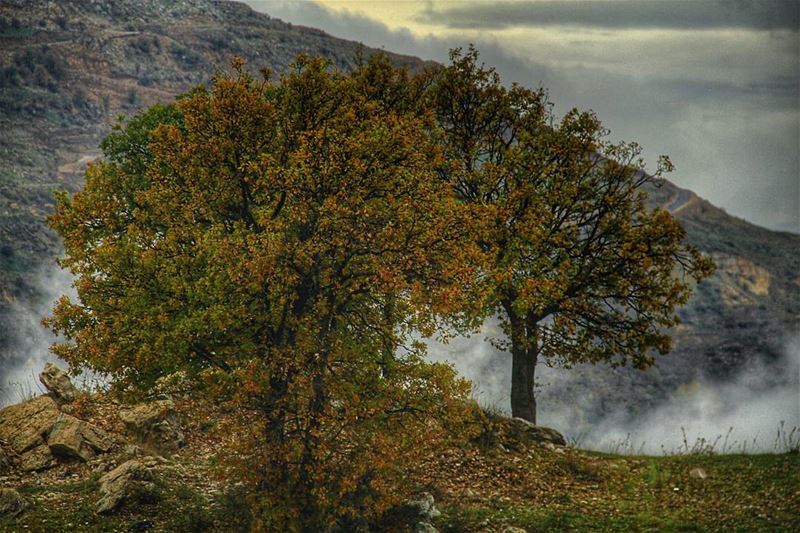 Faraya, Kfardebian