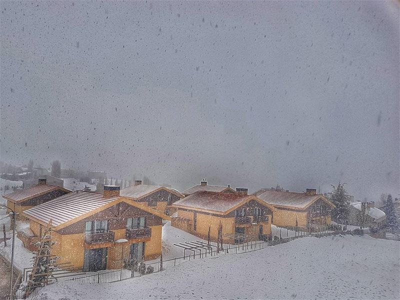  faraya  lebanon  snowing  snow  winter  whatsuplebanon  insta_lebanon ...