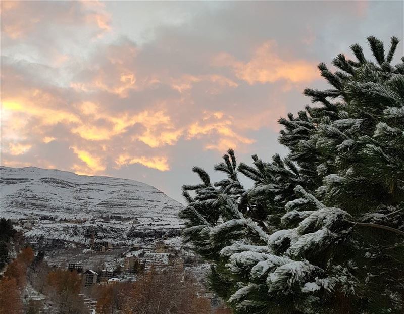 Faraya morning @ 6am  faraya  keserwen  lebanon  winter  winterseason ... (Faraya, Mont-Liban, Lebanon)