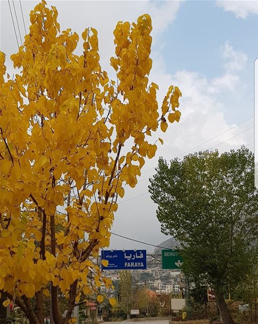 Faraya morning  faraya  keserwen  lebanon  nofilter  mountains  nature ... (Faraya My Beautiful Village)